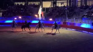 Miniature : ❤️Spectacle de chevaux ❤️￼