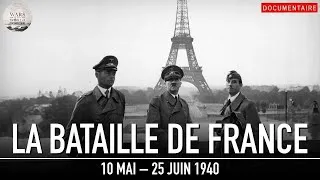 Miniature : Quand la France est tombée aux mains de l'Allemagne nazie...