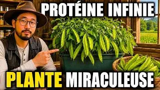 Miniature : Plus de Protéines que la Viande et Pousse Chez Toi en 5 Minutes — Pourquoi PERSONNE ne la Plante ?