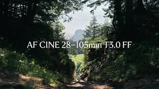 Miniature : Wild Frame 2026 : L'EMC Malakoff teste le Sigma 28-105mm T3 FF en milieu naturel.