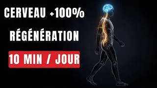 Miniature : Ce Qui Arrive EXACTEMENT À Vos Organes Quand Vous Marchez