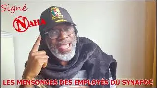 Miniature : LES MENSONGES DES EMPLOYÉS DU SYNAFOC CONCERNANT L'AFFAIRE STADE RENARD DE MELONG