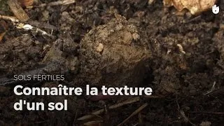 Miniature : Connaître la texture d'un sol : test du bocal