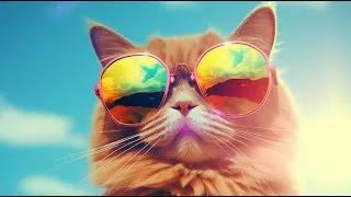 Miniature : Votre Chatte Détruit Votre Canapé?  LA Solution Incroyable!