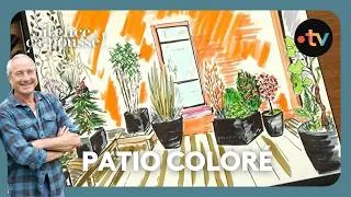 Miniature : Pas de panique : végétaliser un patio et lui donner de la couleur - Silence, ça pousse !