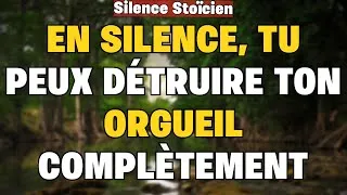 Miniature : LA CHUTE SILENCIEUSE DE L’ÉGO : MÉTHODE PUISSANTE SELON CARL JUNG