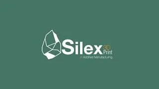 Miniature : Silex3D Print