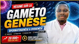 Miniature : 🔥 Gamétogenèse simplement expliquée | réussir le bac SVT 💪