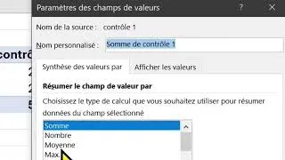 Miniature : FORMATION EXCEL comment analyser des données avec des tableaux croises dynamiques