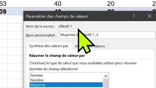 Miniature : MICROSOFT EXCEL des astuces pratiques des tableaux croisés dynamiques