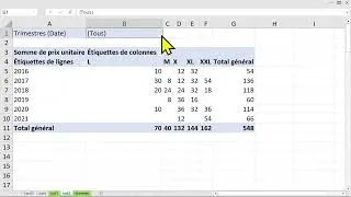 Miniature : FORMATION EXCEL ASTUCES PRATIQUES des tableaux croisés dynamiques