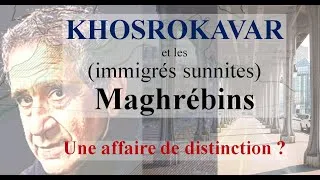 Miniature : DEBUNK 2.2 : "Un profil rare" - KHOSROKAVAR, "Iranien séculier" et jihadistes maghrébins imaginaires