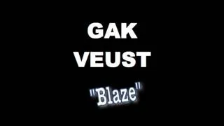 Miniature : Gak feat. Veust - Blaze
