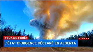Miniature : Feux de forêt : «Le feu a traversé la route, ce qui était très effrayant»