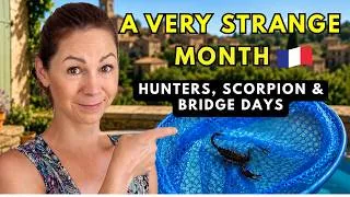 Miniature : A Very Strange Month in France 😂 Hunters, Scorpion & Bridge Days