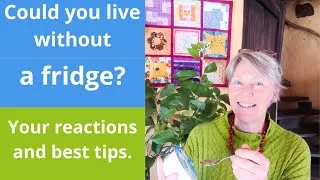 Miniature : Living without a fridge: Answering your biggest questions
