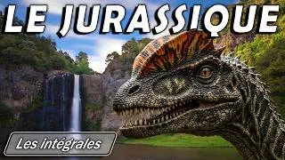 Miniature : Le JURASSIQUE : L'Âge d'Or des Dinosaures ! - Intégrale