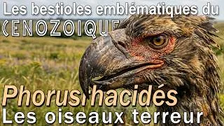 Miniature : Phorusrhacidés, les" Oiseaux Terreur" qui dominaient sans partage en Amérique du Sud.