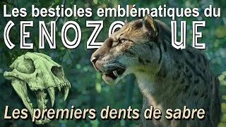 Miniature : Nimravidés, les premiers dents de sabre - paléontologie - #science #animals #wildlife #paleontology