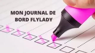 Miniature : Mon Journal de bord FLYLADY #minimalisme #désencombrement #rangement