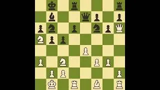 Miniature : ÉCHECS & FEU DE BOIS  - 20 min de Concentration Kasparov 1999