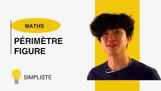 Miniature : Calculer le périmètre d'une figure (6ème)