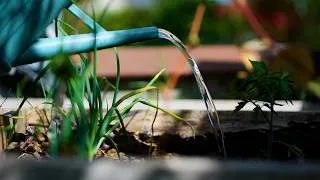 Miniature : Simple Spring Moments in France 🇫🇷 | Slow Gardening & Peaceful Nature