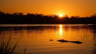 Miniature : The Loire River Returns — Early Spring Light in France (Noizay)