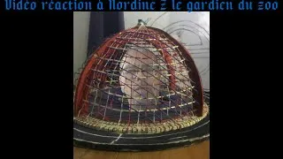Miniature : Vidéo réaction où j'écoute Nordine Z le bi-platiste m'insulter pendant son live