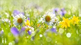 Miniature : The Alchemy of Love by Rumi (Lisa Gerrard & Patrick Cassidy - Marantha)