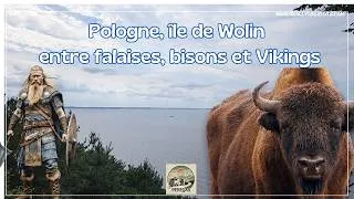 Miniature : L'île de Wolin, entre falaises, bisons et Vikings