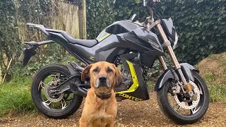Miniature : [Zontes Urban 125] Babysitting avant la balade moto et l'apéro !!