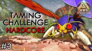 Miniature : Il ne faut JAMAIS Abandonner ! 🦋 ARK : TAMING CHALLENGE - SCORCHED EARTH #3