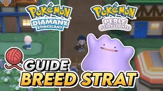 Miniature : Comment faire un POKÉMON PARFAIT ? - POKÉMON DIAMANT ÉTINCELANT et PERLE SCINTILLANTE
