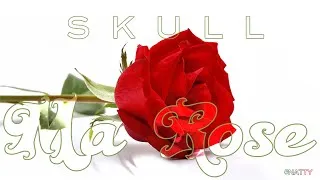 Miniature : SKULL - MA ROSE 🌹