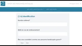 Miniature : Déclaration IPP