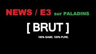 Miniature : [BRUT] News, E3...- PALADINS