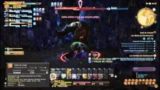 Miniature : FF XIV : A Realm Reborn -Combat en instance contre Cygès l'invulnérable-