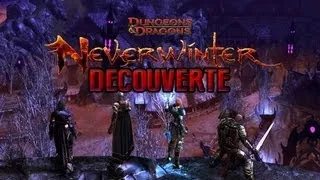Miniature : Dungeons & Dragons : Neverwinter -Découverte de la version finale !-