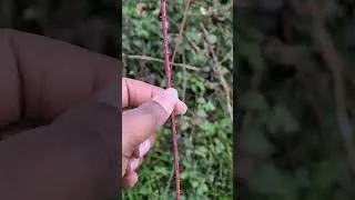 Miniature : Quelle puissance 🌬🏞🌧🏞🌩🏞🌨🏞🌬 On marche quand même hein 🚶🏿‍♀️🚶🏿‍♀️🚶🏿‍♀️ #walking 