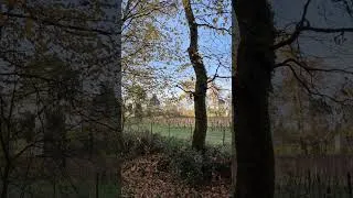 Miniature : Le Bonheur est dans la Nature 🏕🌲🏕🍁🏕