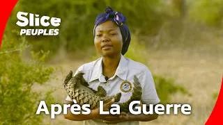 Miniature : Gorongosa : reconstruire la nature après la guerre civile | SLICE PEUPLES