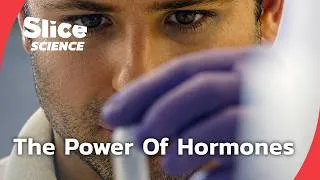Miniature : Hormones Explained: The Chemicals That Shape Our Bodies | SLICE SCIENCE | FULL DOC