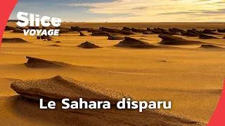 Miniature : Quand le Sahara était vert: le mystère des nageurs I SLICE VOYAGE I DOC EN ENTIER
