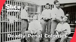 Miniature : How France Exiled Its Convicts to Guiana’s Penal Colonies I SLICE HISTORY | FULL DOCUMENTARY