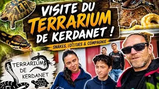 Miniature : Visite du Terrarium de Kerdanet🐍🐢 #video #vlog #visite #terrarium #serpent #tortue #nature #sortie 