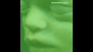 Miniature : Rammstein   Zwitter (Speed Up)