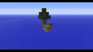 Miniature : NOUVELLE SURVIE SKYBLOCK #1