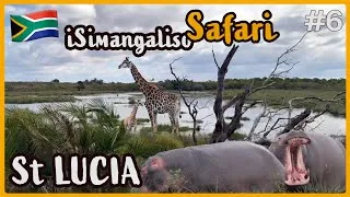 Miniature : St Lucia et l'iSimangaliso Wetland Park