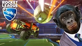Miniature : TEAM BONOBOOO ( Rocket League )